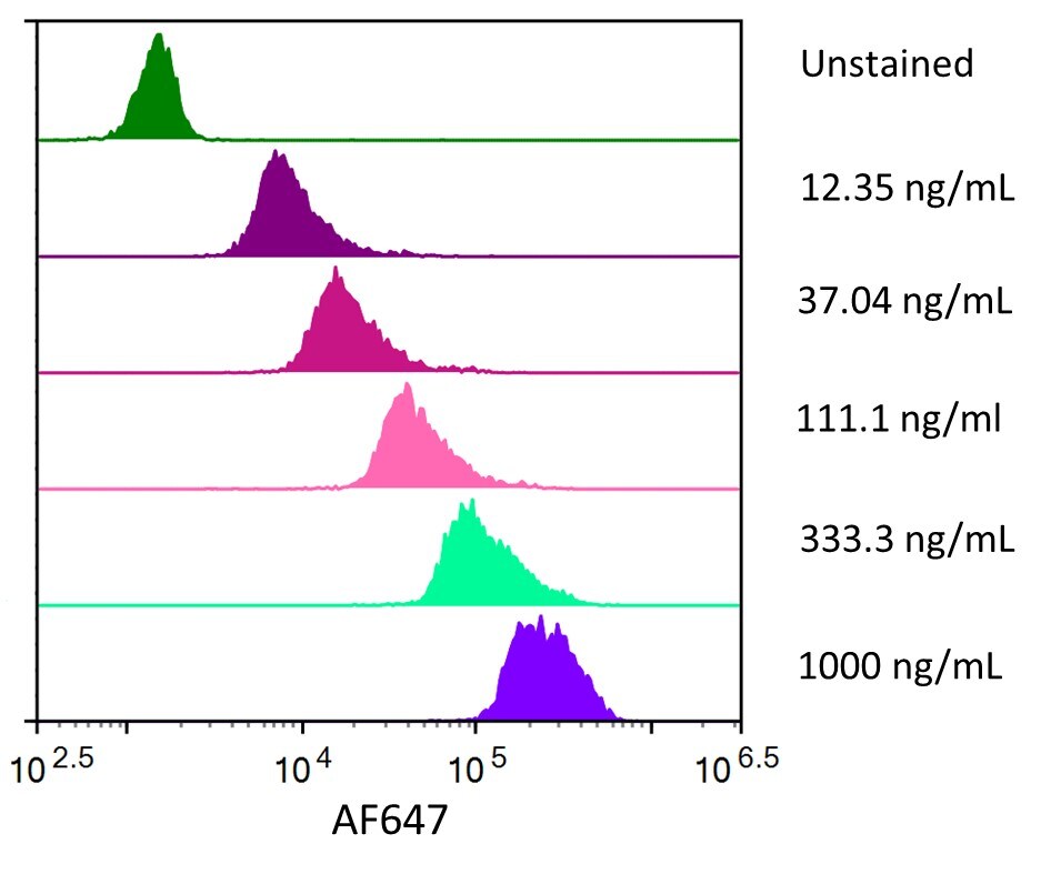 Streptavidin coated beads conjugated to biotinylated anti-human Siglec-3/CD33 Monoclonal Antibody were stained with the indicated concentrations of Recombinant Human Siglec-3/CD33 Fc Chimera Alexa Fluor® 647.